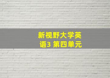 新视野大学英语3 第四单元